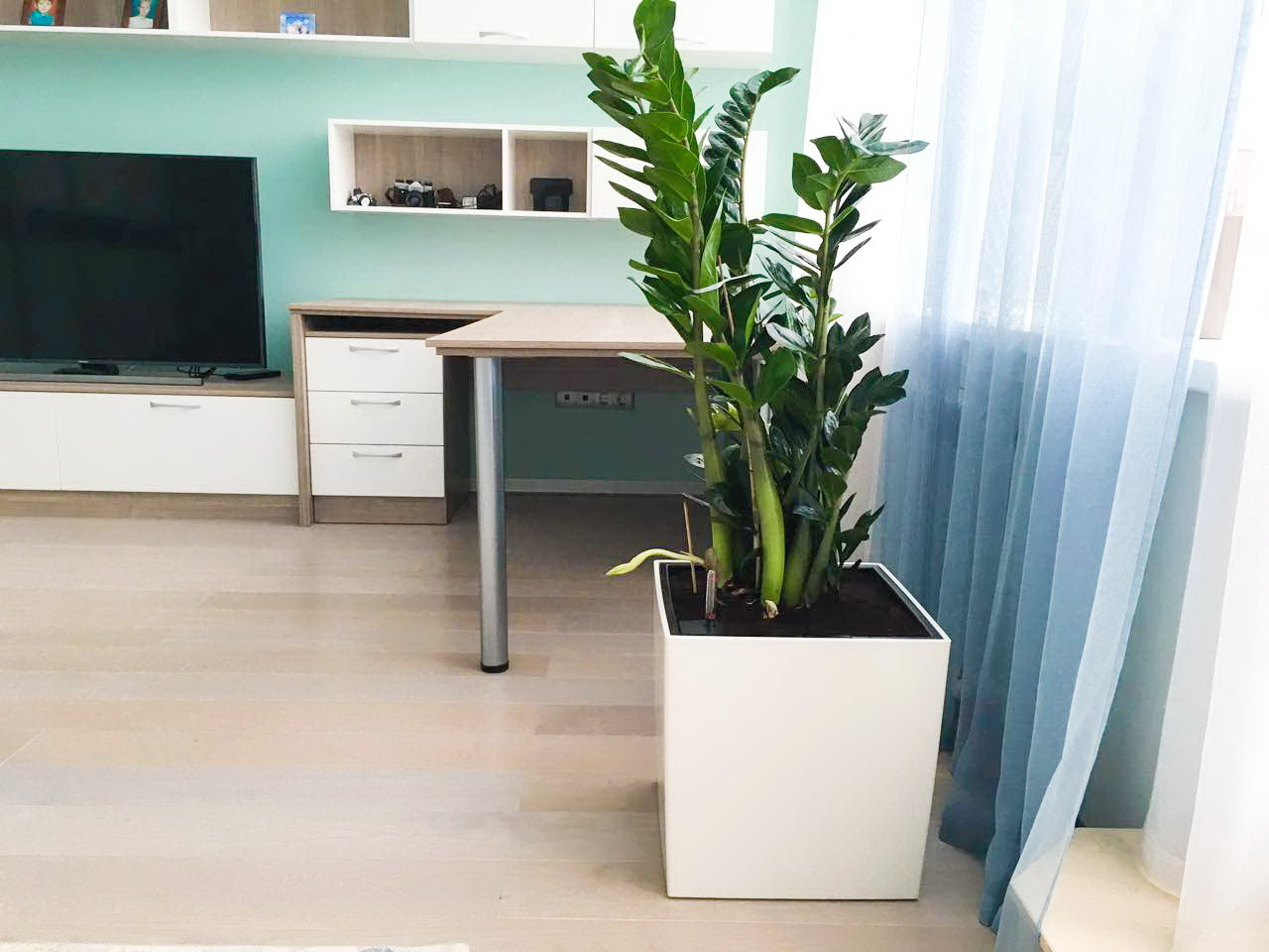 Озеленение частных квартир