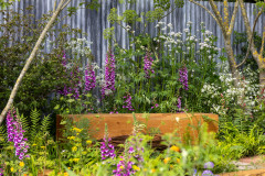8 Key Trends from the RHS Chelsea Flower Show 2024
