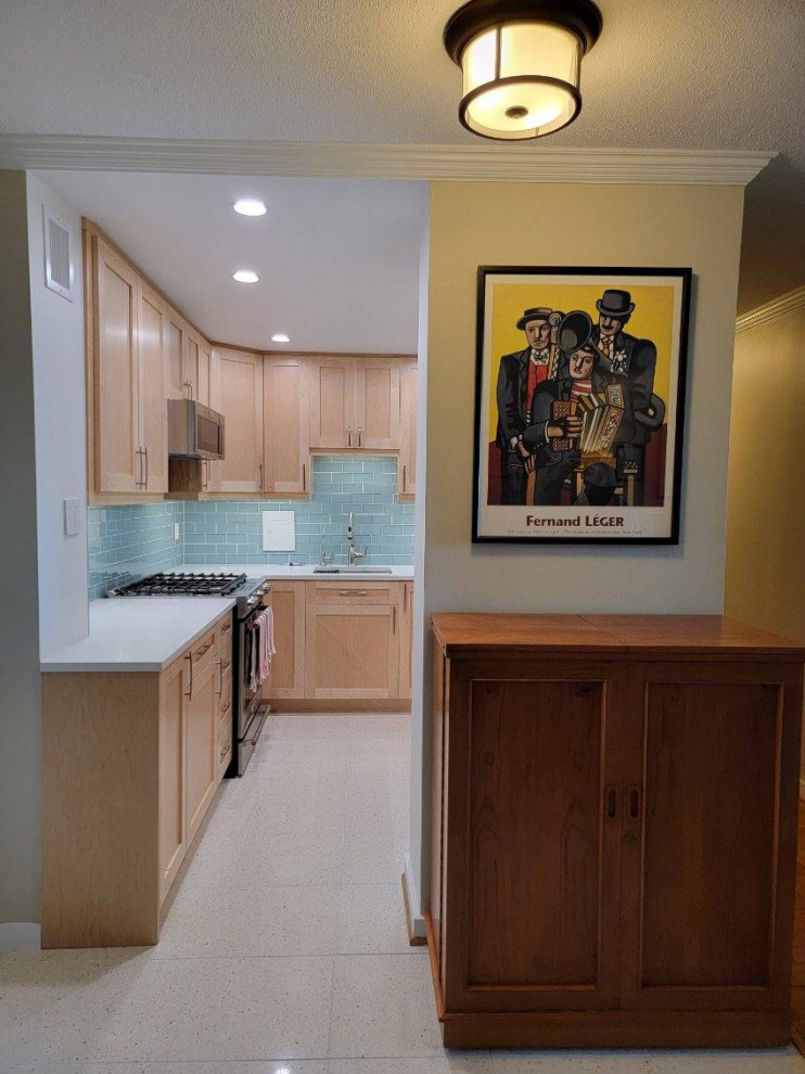 Example of a transitional kitchen design in DC Metro