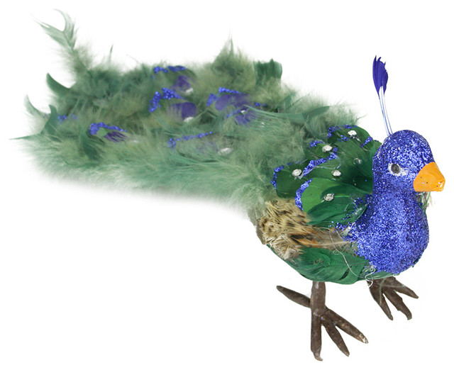 colorful regal peacock bird with closed tail feathers colorful regal peacock bird with closed tail feathers