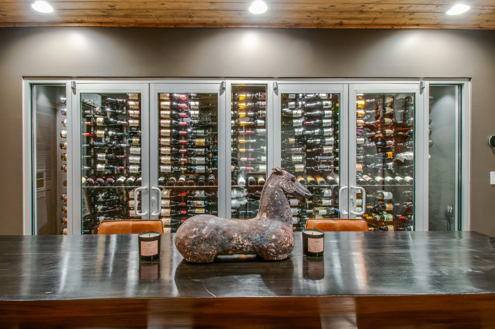 Basement contemporary wine cellar & tasting room