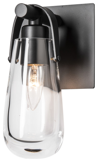 Eos 1-Light Bath Sconce, Black Finish, Clear Glass - Transitional ...