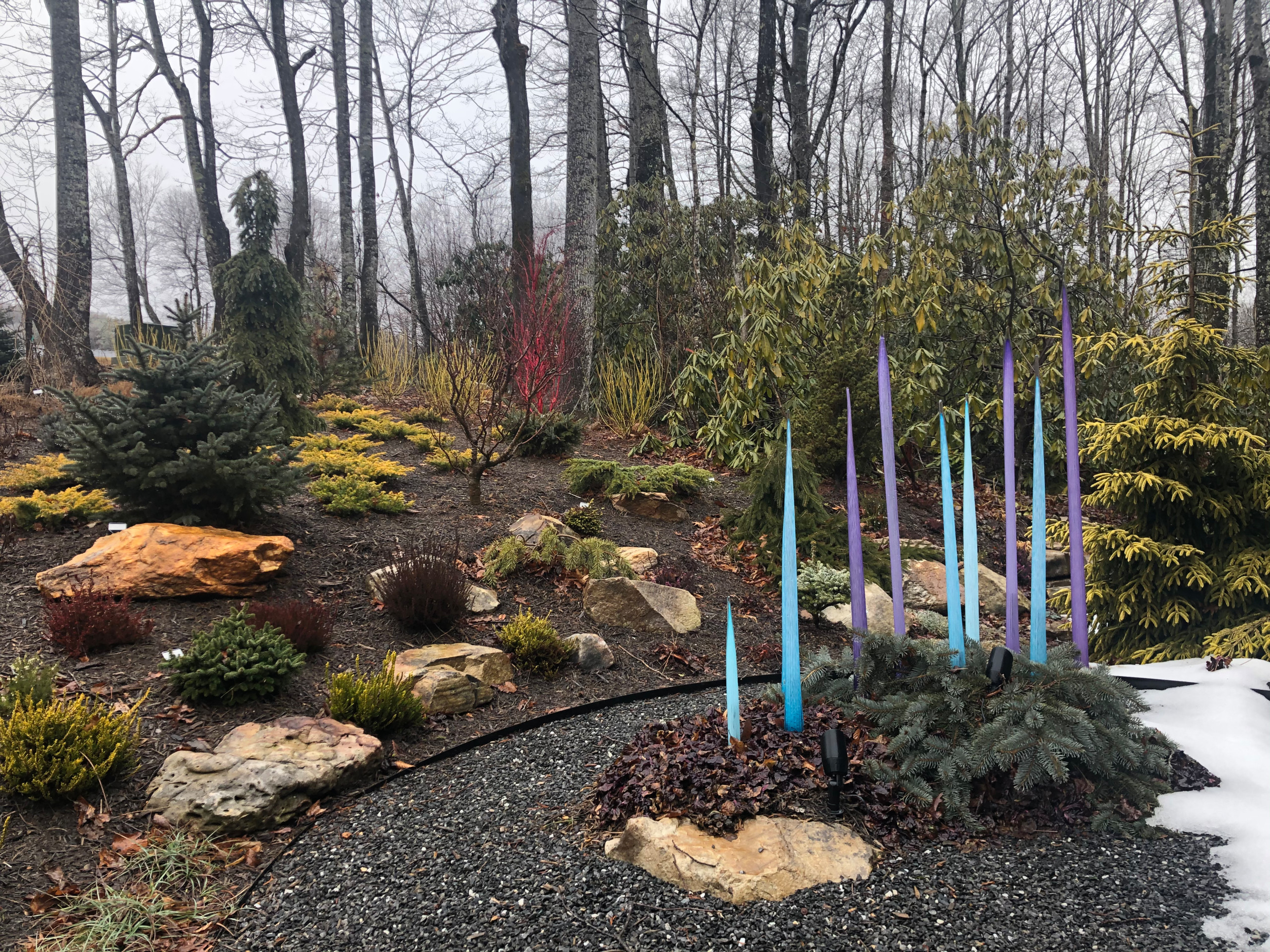 Cheerful garden on a dreary winter day