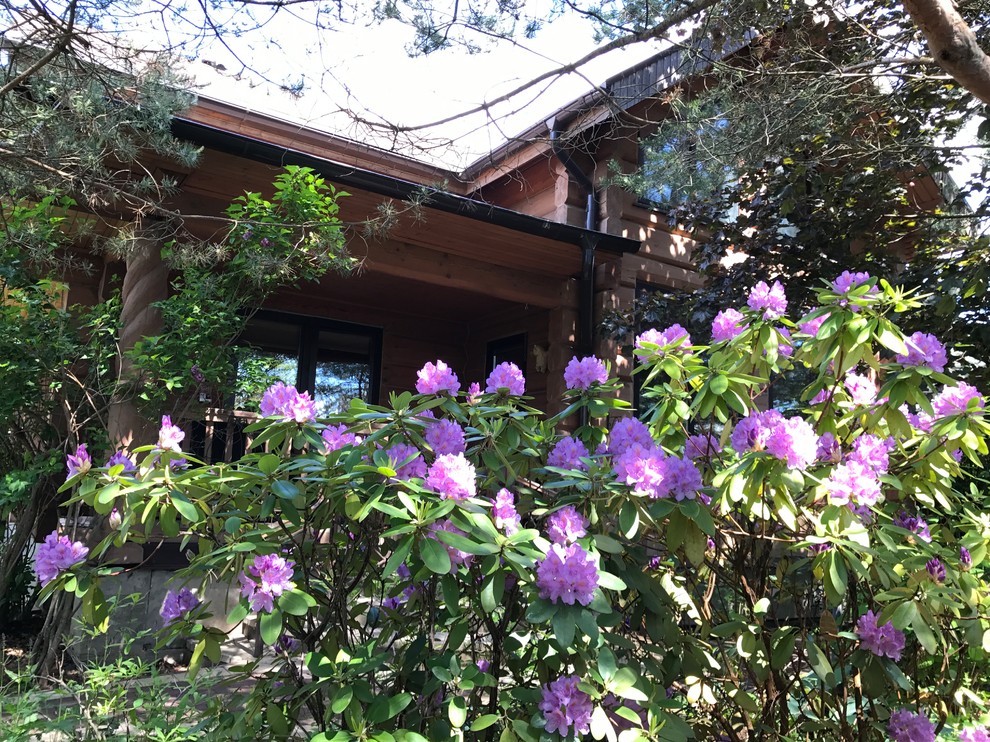 Буйство красочных форм в осеннем саду