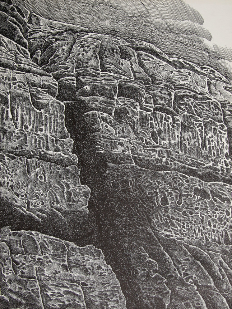 "Canyon Portfolio - Dinosaur National Monument II" Artwork