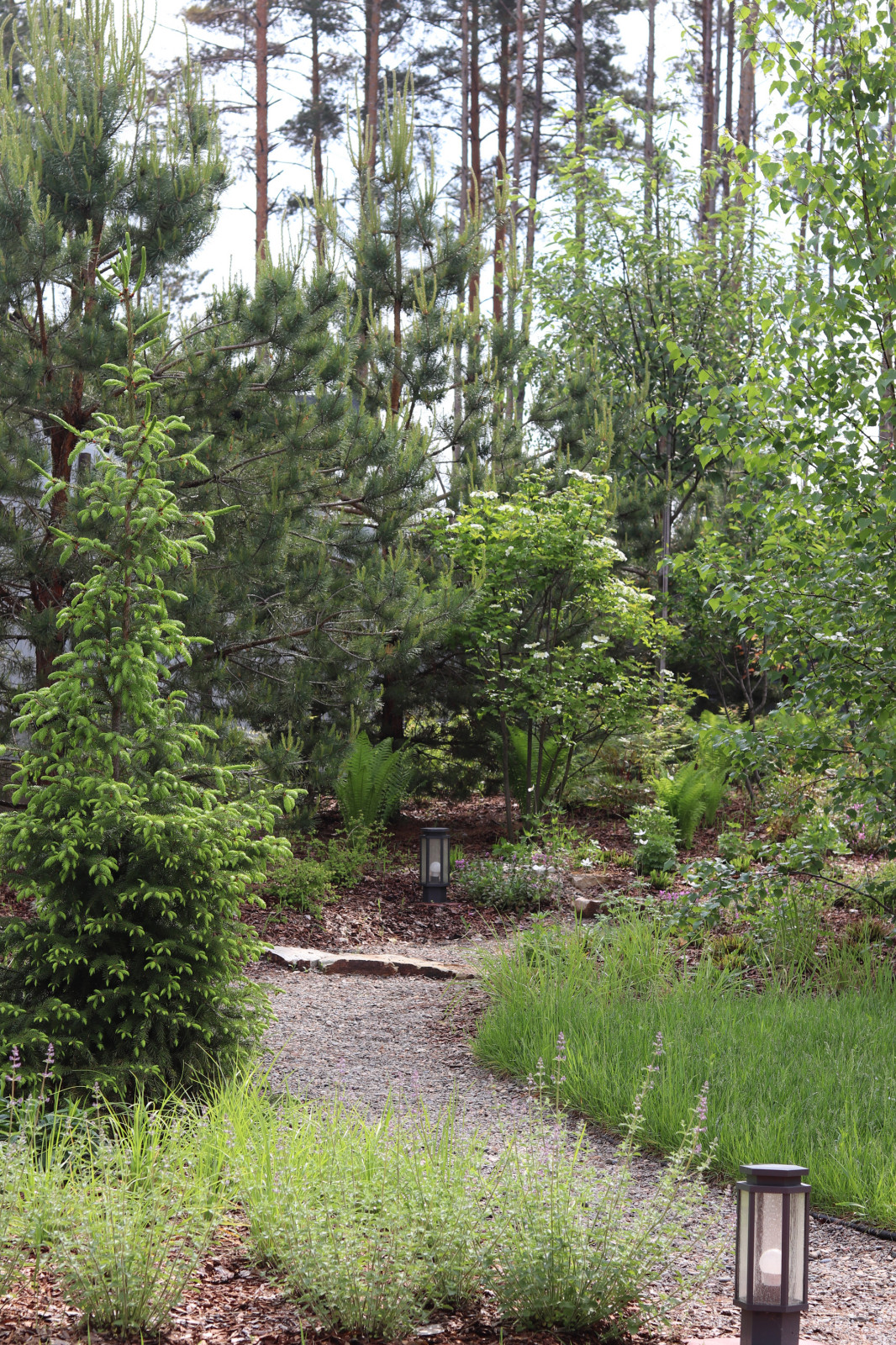 Русский лес