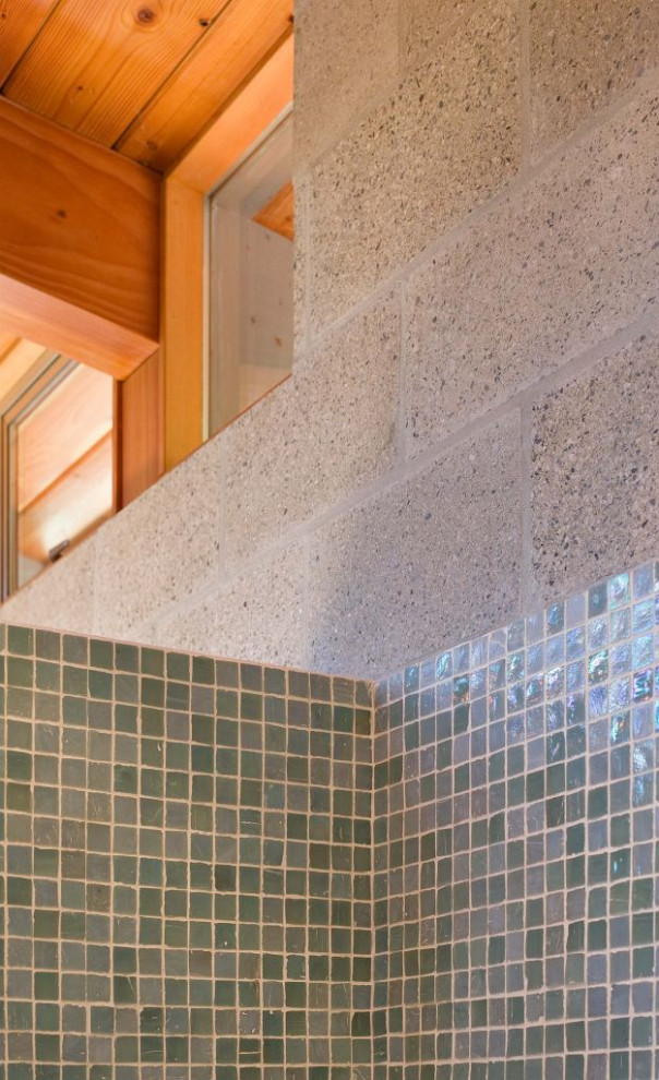 Bathroom - mid-century modern bathroom idea