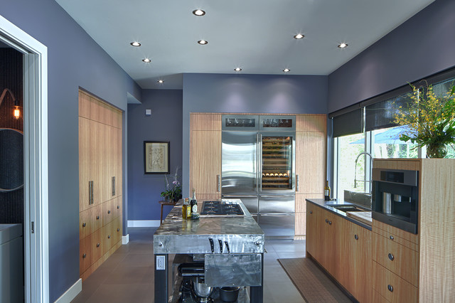 Orlando contemporary-kitchen