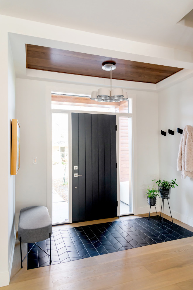 This is an example of a mid-sized contemporary vestibule in Other with white walls, porcelain floors, a single front door, a black front door, black floor and wood.