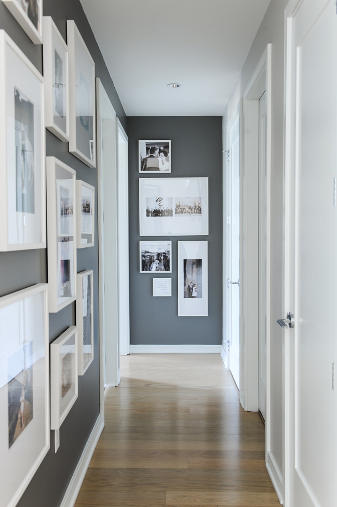 Photo of a mid-sized transitional hallway in Vancouver with grey walls and medium hardwood floors.