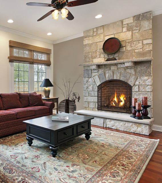 Kozy Heat Fireplaces Farmhouse Living Room Minneapolis By