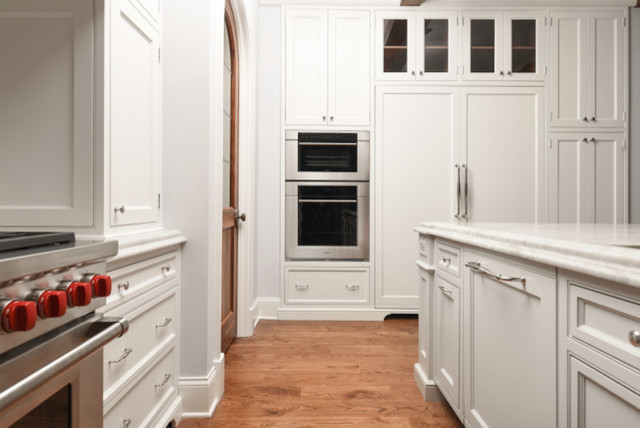 Kitchen - transitional kitchen idea in Chicago