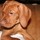 lynn_snyder8271
