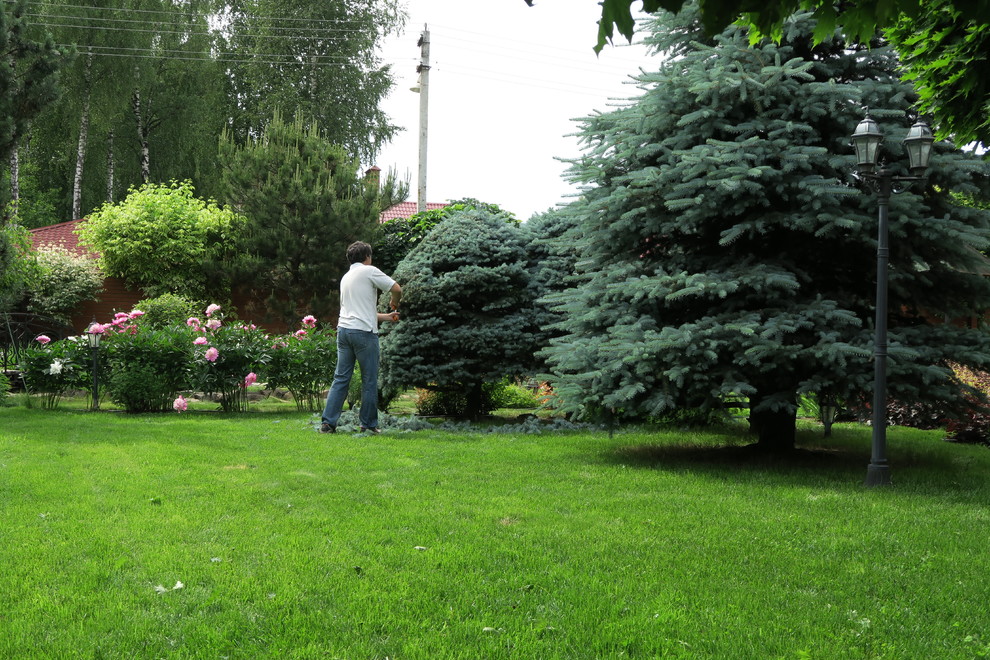 Наши работы