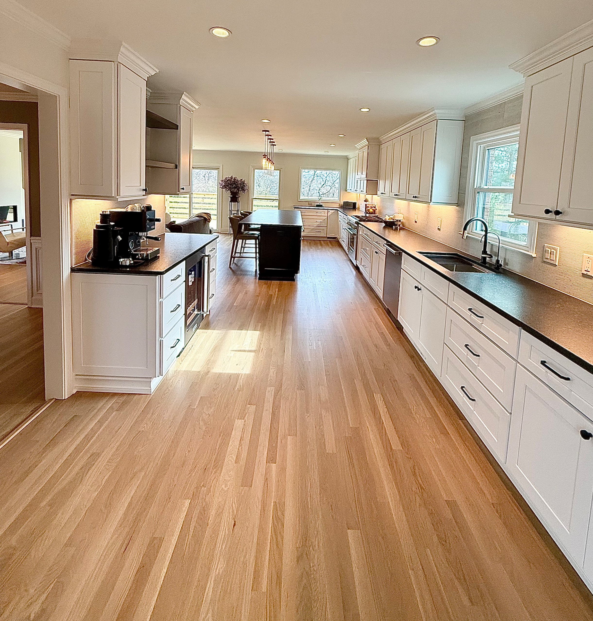 Franklin Complete Kitchen and LR Reno