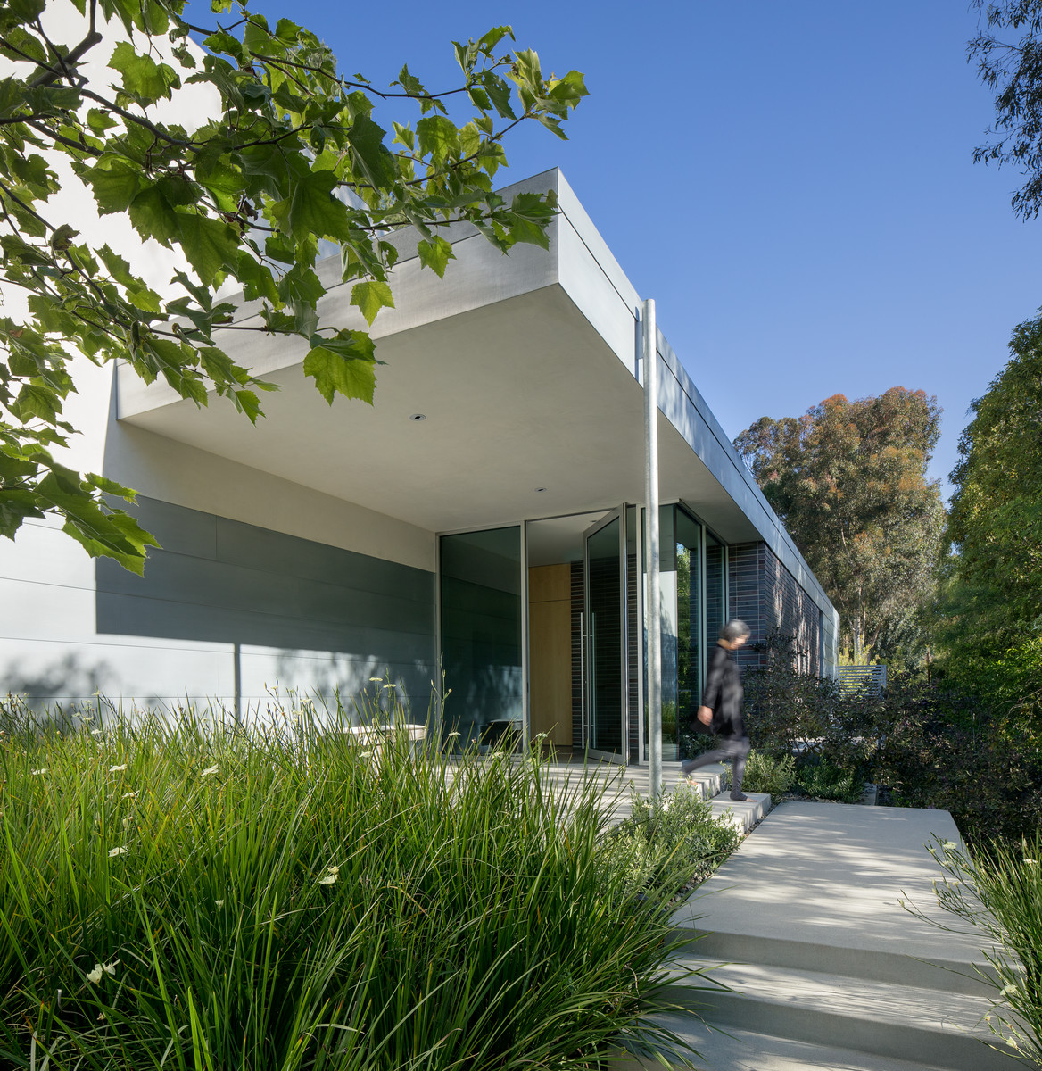 Modern front door in Los Angeles with a pivot front door, a glass front door, white walls and concrete floors.