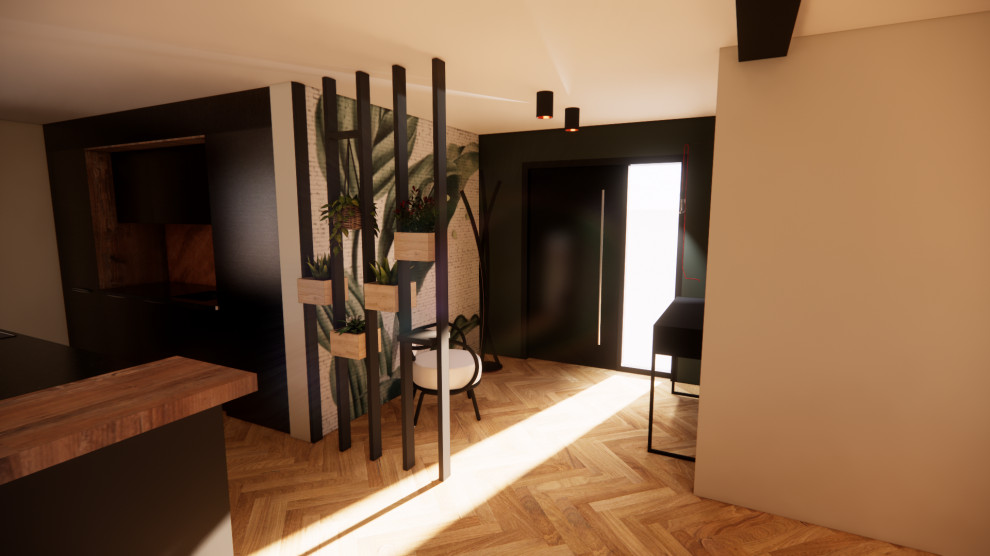 Aménagement plain-pieds - modélisation 3D - Steinsoultz