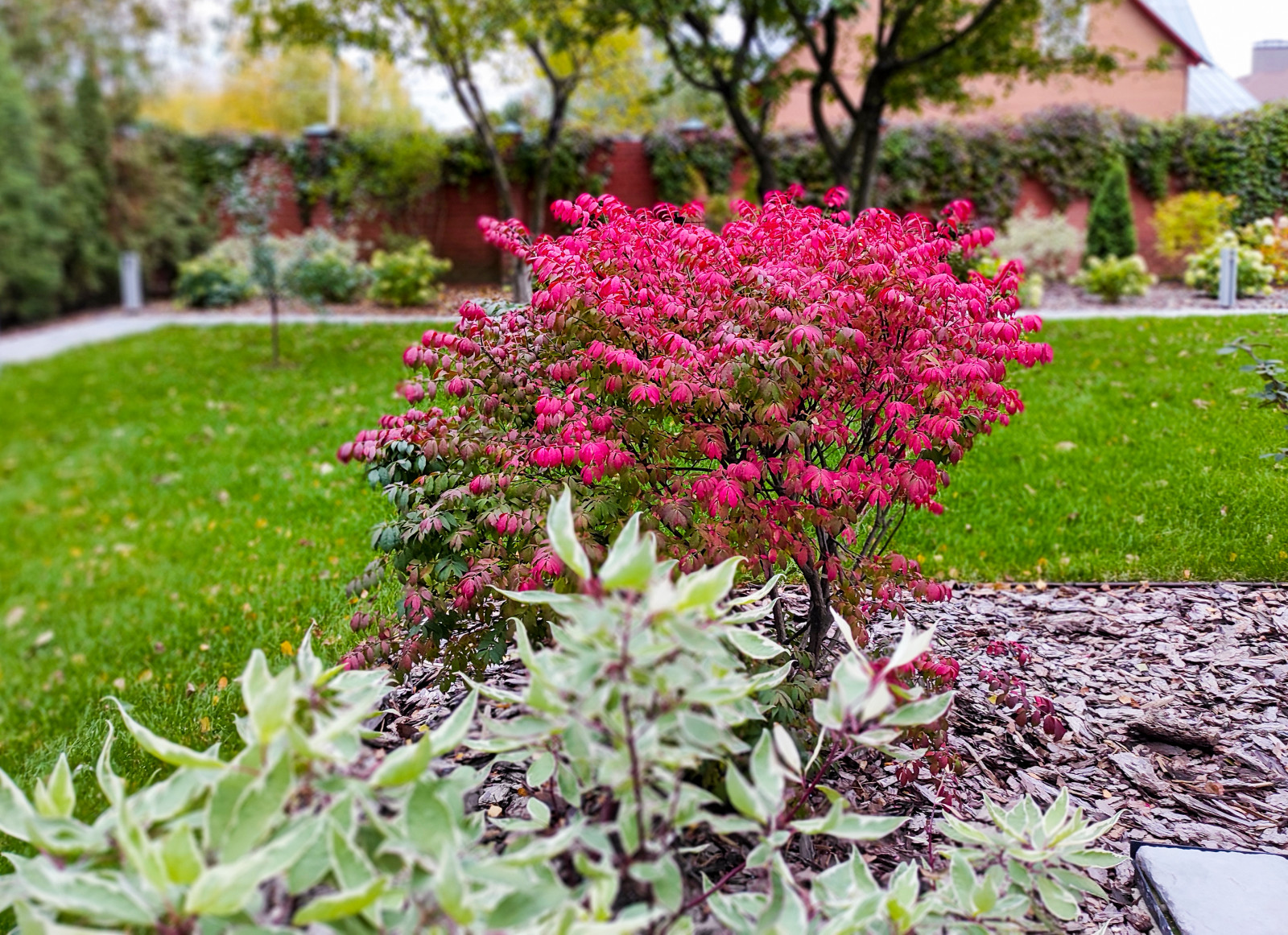 Долгопрудный, 2020 г.