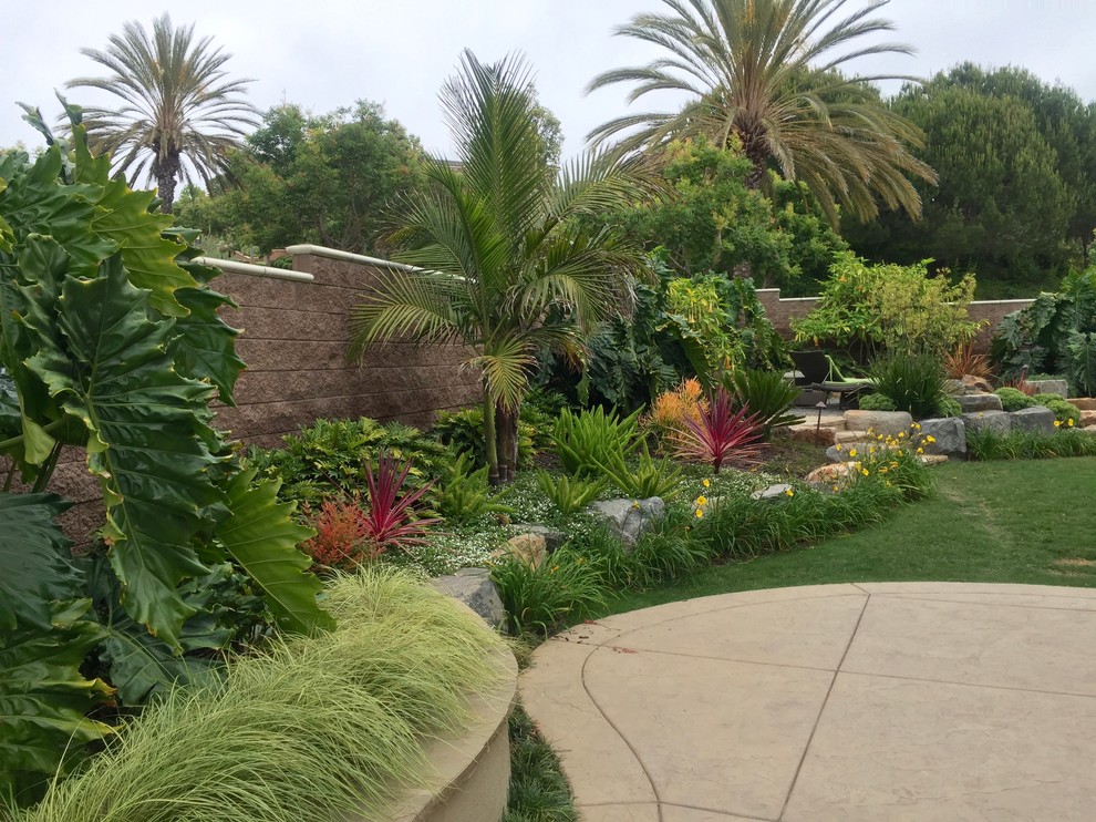 Mid-sized tropical backyard full sun formal garden in San Diego with a retaining wall.