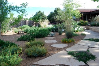Santa Fe Permaculture/ Xeric Garden - Asian - Landscape - Albuquerque ...