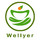 Wellyer Inc