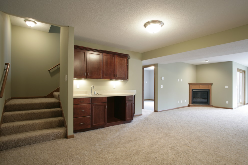 Design ideas for a traditional basement in Minneapolis.