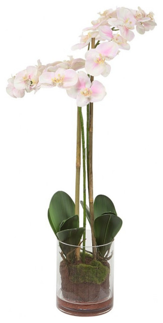 Highfield Knoll - Orchid-34 Inches Tall and 11 Inches Wide - Decor - Planters