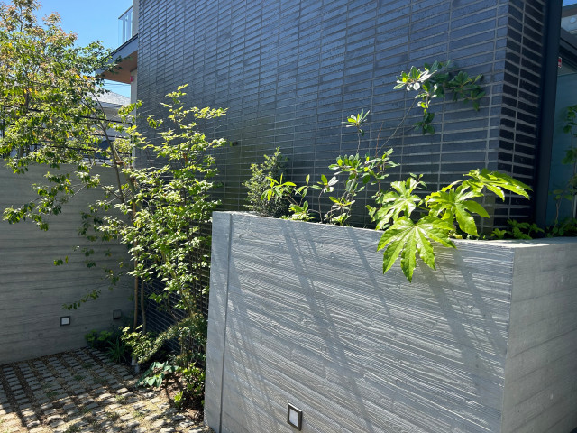 青葉区の庭 japanisch-modern-garten