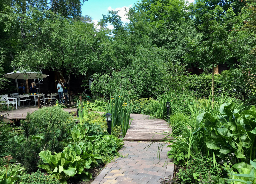 Белкин сад. Лето 2019