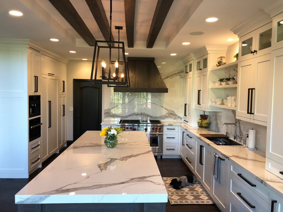 Example of a transitional kitchen design in Chicago