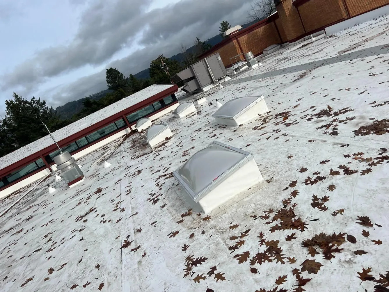 roof leak check