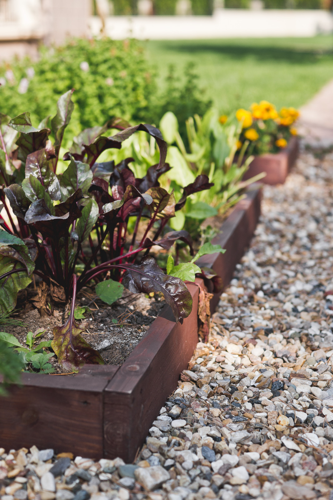 Современный сад на Успенском шоссе