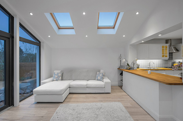 Attic Conversion With Zinc Roof And Sunroom Extension