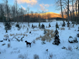 Houzz Readers Share Snowy Scenes Near Their Homes (25 photos)