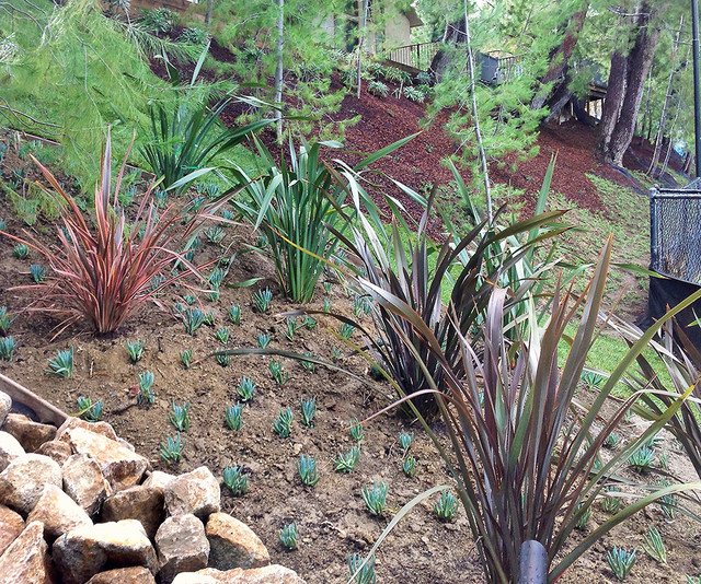 Low-Maintenance Landscape Elements garten