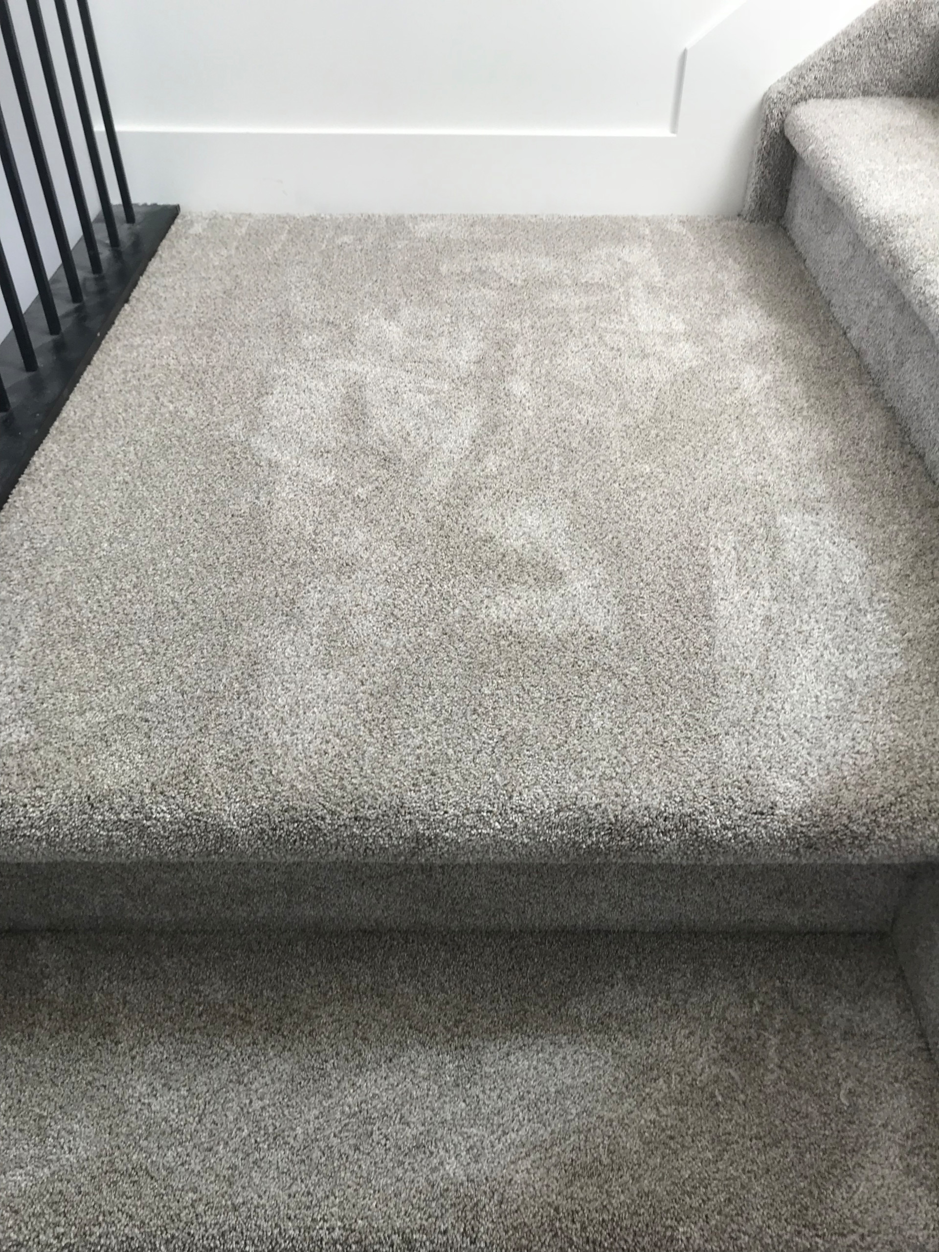 Carpet