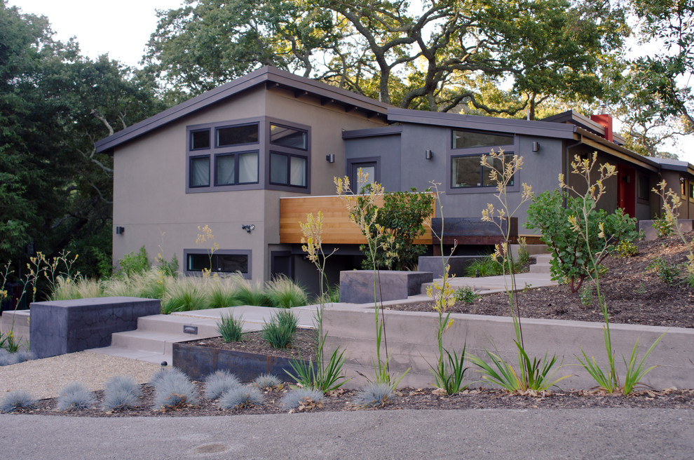 This is an example of a large modern sloped full sun xeriscape in San Francisco with a retaining wall and gravel.