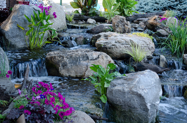 Photo of a traditional backyard stone pond in Other.