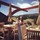 teresa_johnson2922946