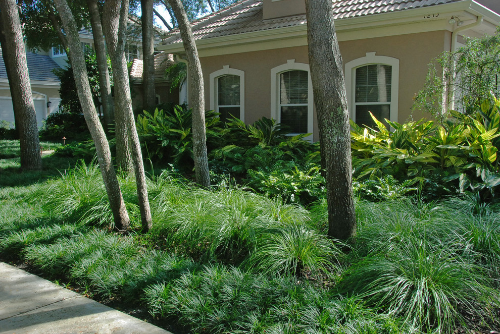 This is an example of a mid-sized modern garden in Orlando.