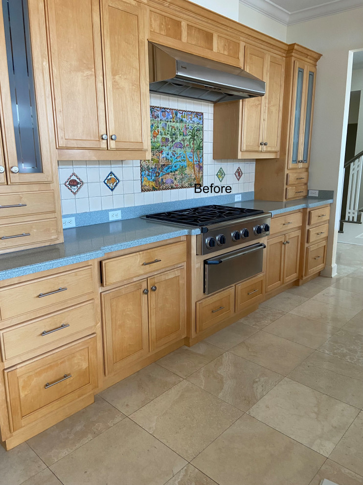 Inspiration for a transitional kitchen remodel in Tampa