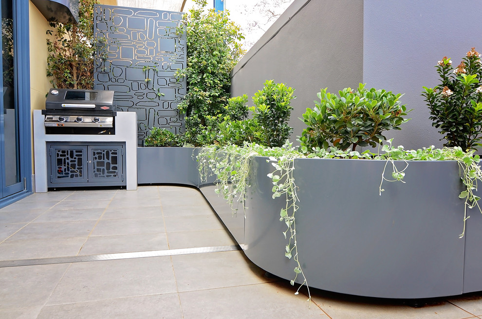 Design ideas for a contemporary courtyard patio in Sydney with a container garden.