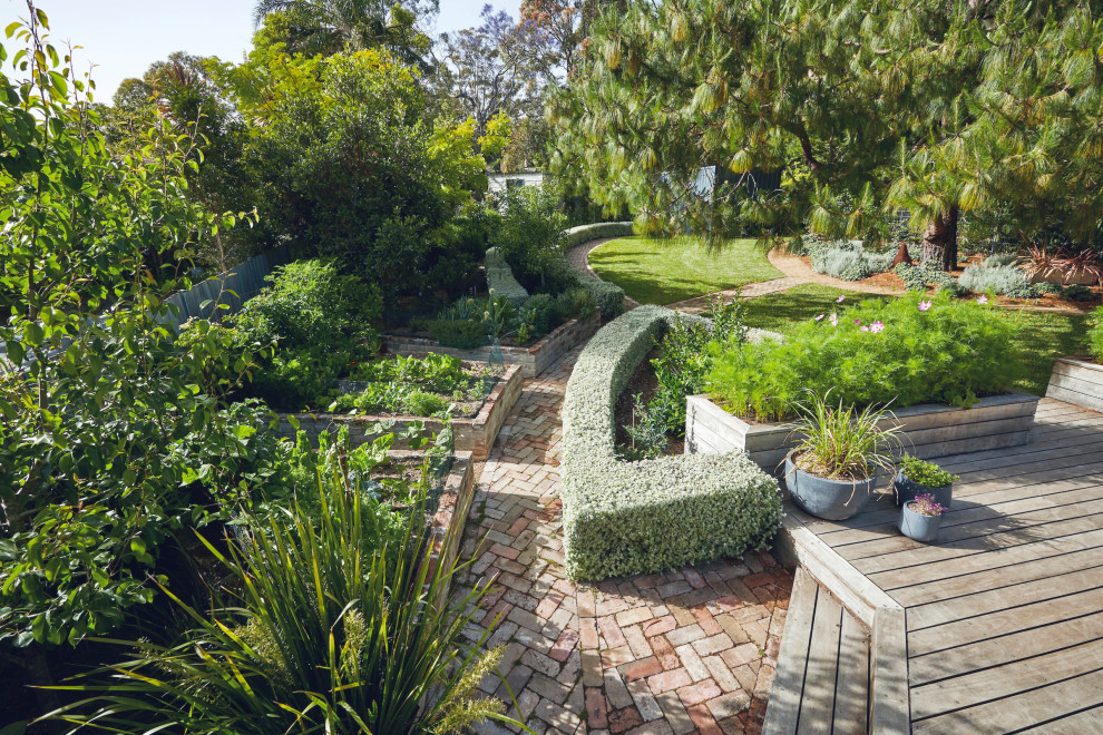 Garden in Sydney.