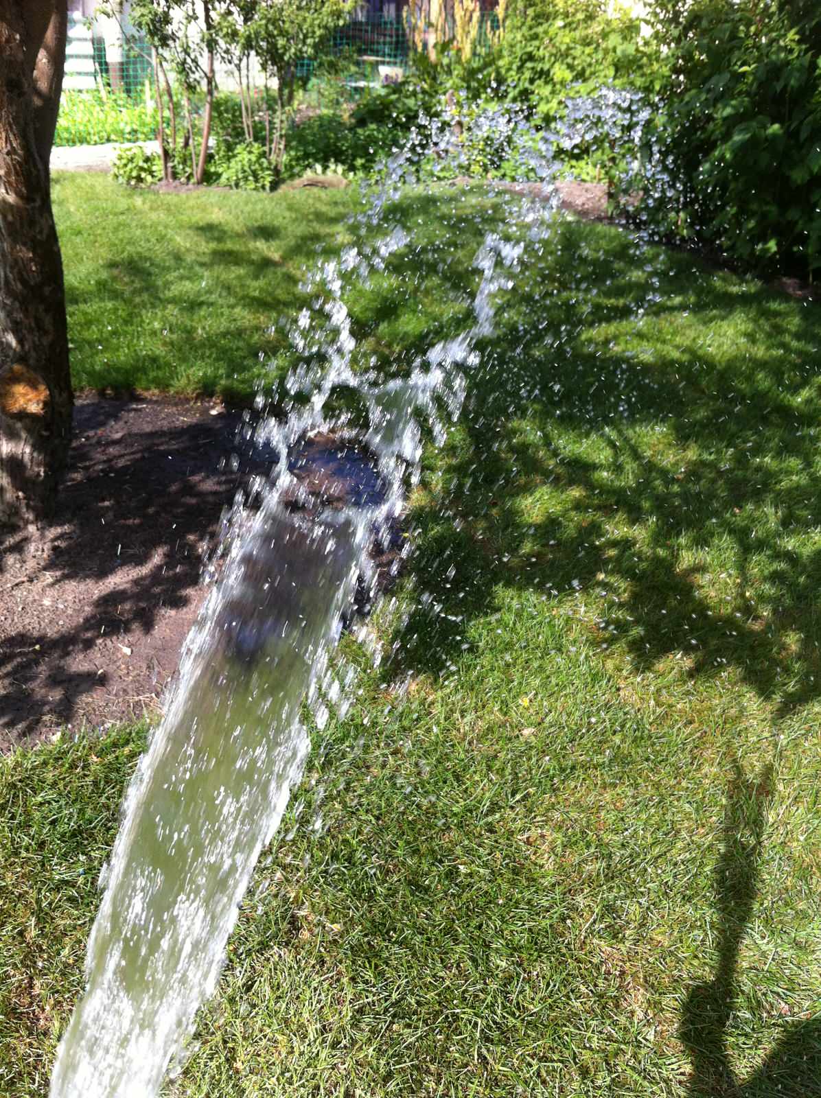 Сад на склоне. Реализация 2016 год