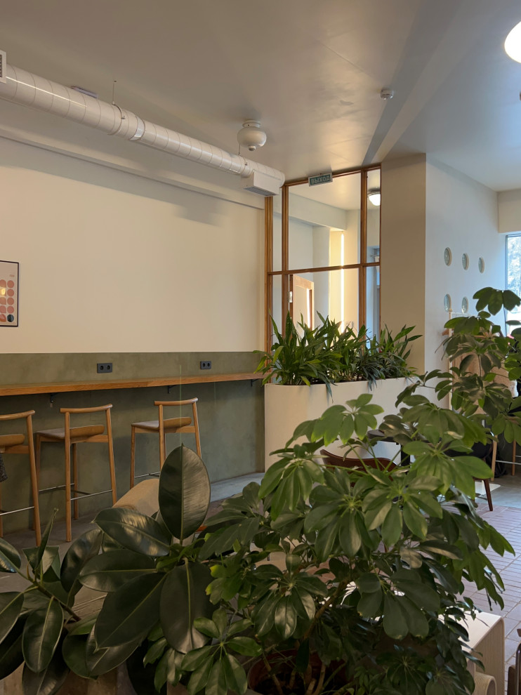 Проект кофейни Shurubor