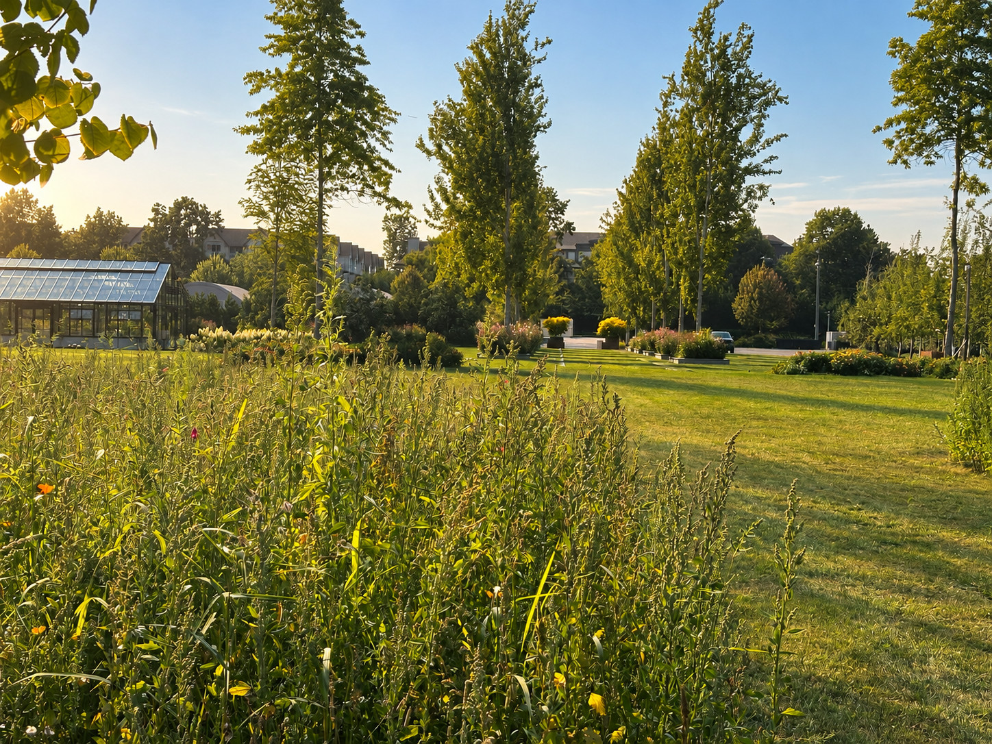 Athiana Acres:  A Family Legacy (An organic Regenerative Farm)