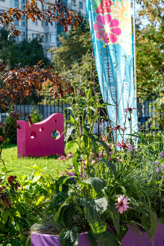 Социальный проект "Надежда"