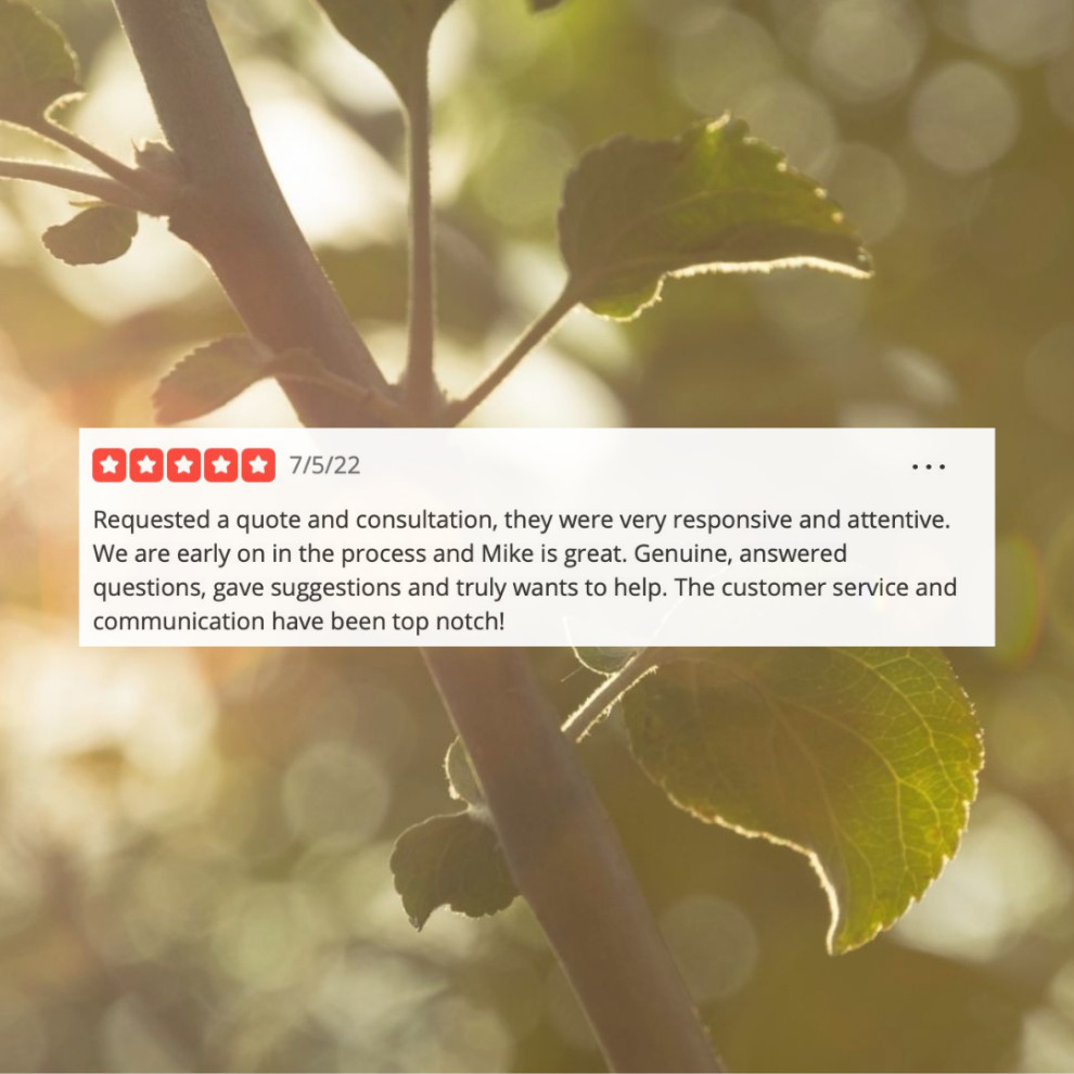 Reviews