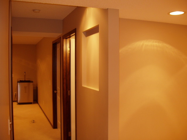 Basement Development transitional-basement