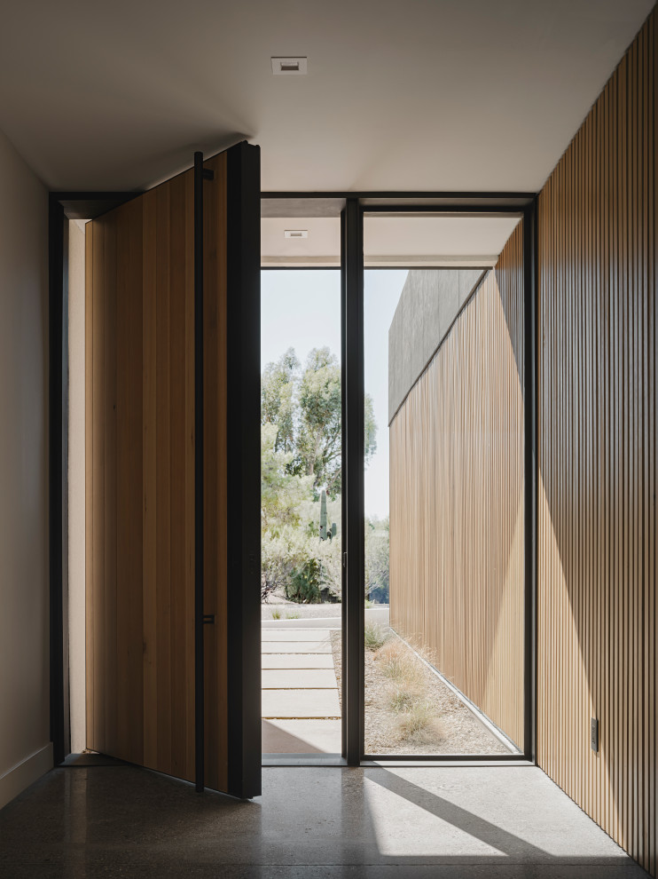 Immagine di una porta d'ingresso moderna con pavimento in cemento, una porta a pivot, una porta in legno bruno e pavimento grigio